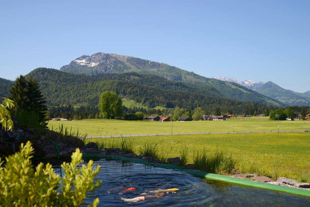 Apartmán Haus Panorama Reit im Winkl Exteriér fotografie